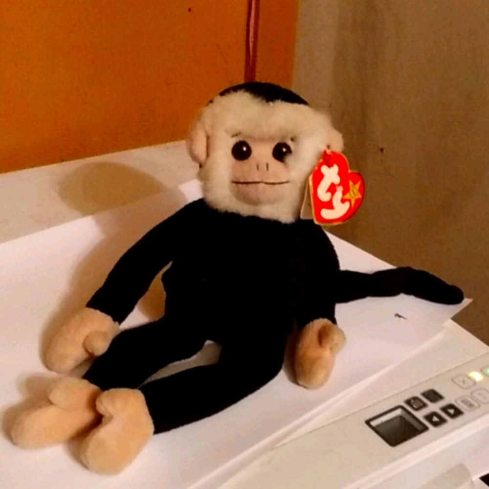 TY Beanie Baby